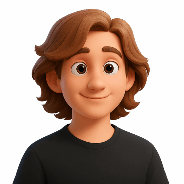 Wout Denorme - penetration tester